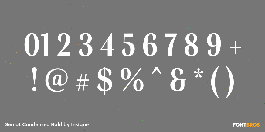 Senlot Condensed Bold Font Poster #4