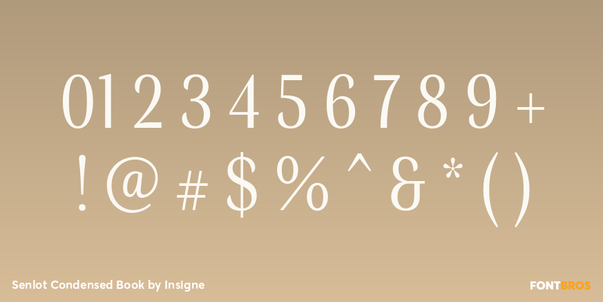 Senlot Condensed Book Font Poster #4