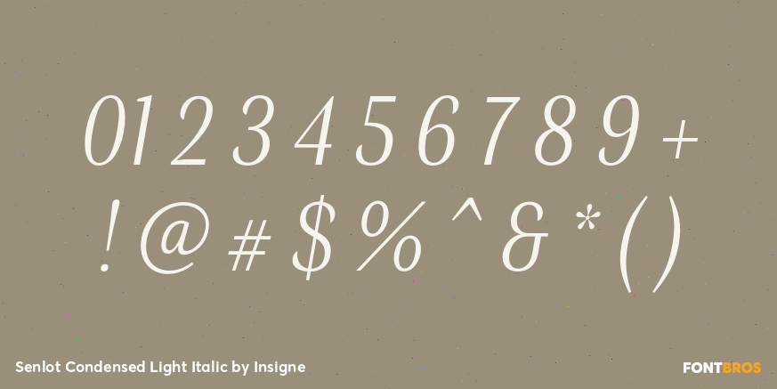 Senlot Condensed Light Italic Font Poster #1