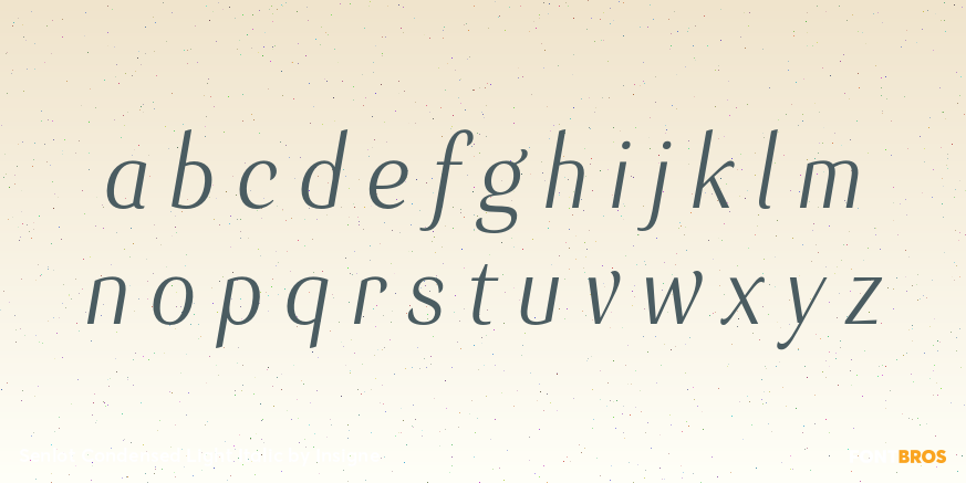 Senlot Condensed Light Italic Font Poster #3