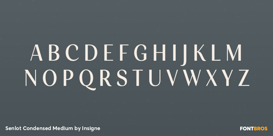 Senlot Condensed Medium Font Poster #1