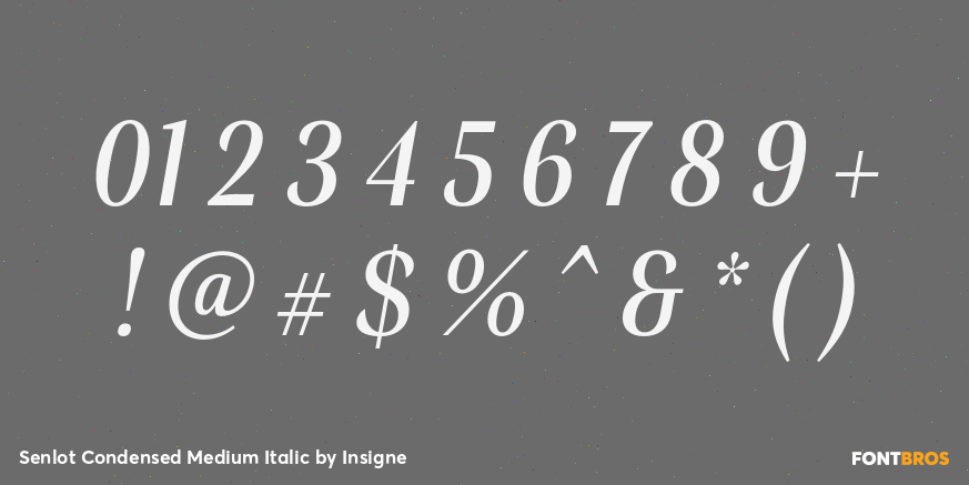 Senlot Condensed Medium Italic Font Poster #4