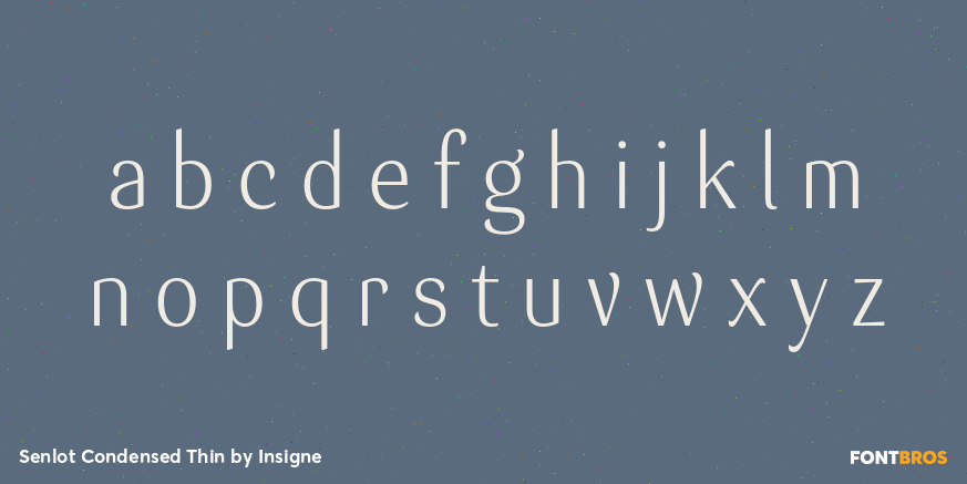 Senlot Condensed Thin Font Poster #3