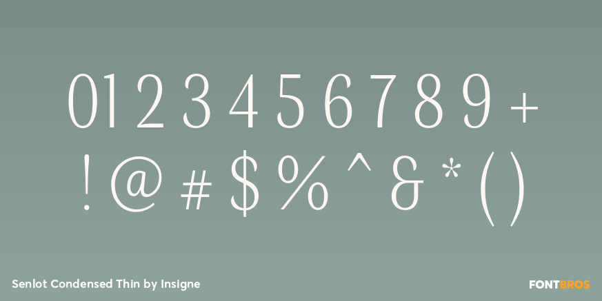 Senlot Condensed Thin Font Poster #4