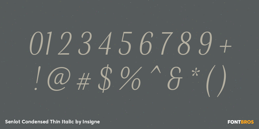 Senlot Condensed Thin Italic Font Poster #1
