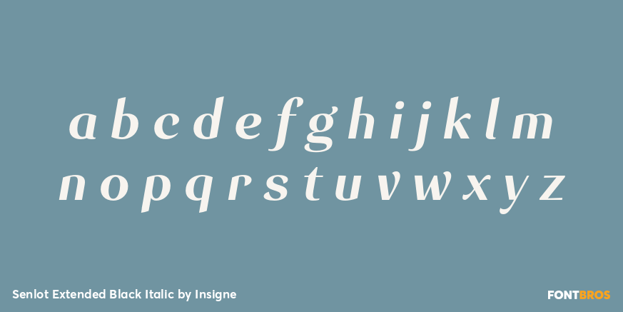 Senlot Extended Black Italic Font Poster #3