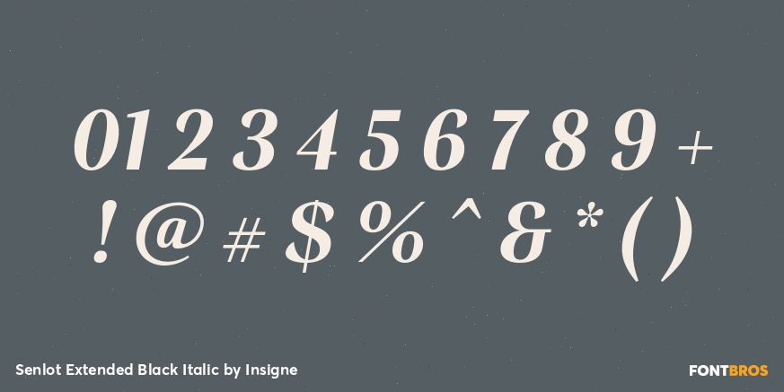 Senlot Extended Black Italic Font Poster #4