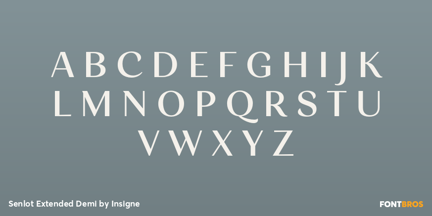 Senlot Extended Demi Font Poster #2