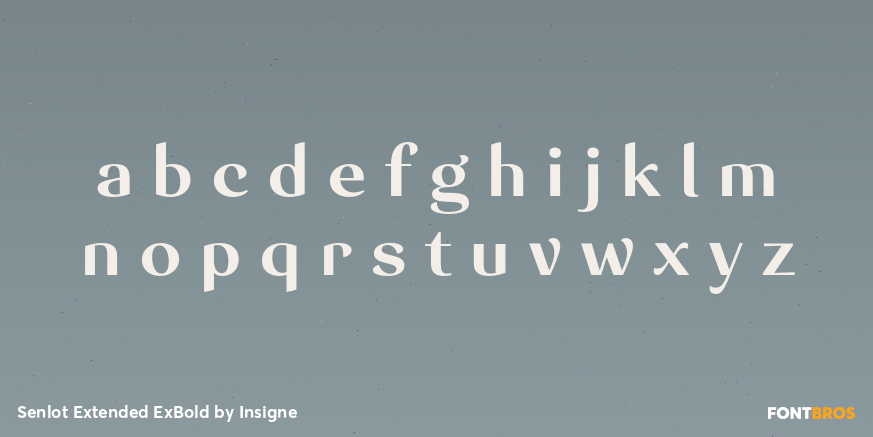 Senlot Extended ExBold Font Poster #3