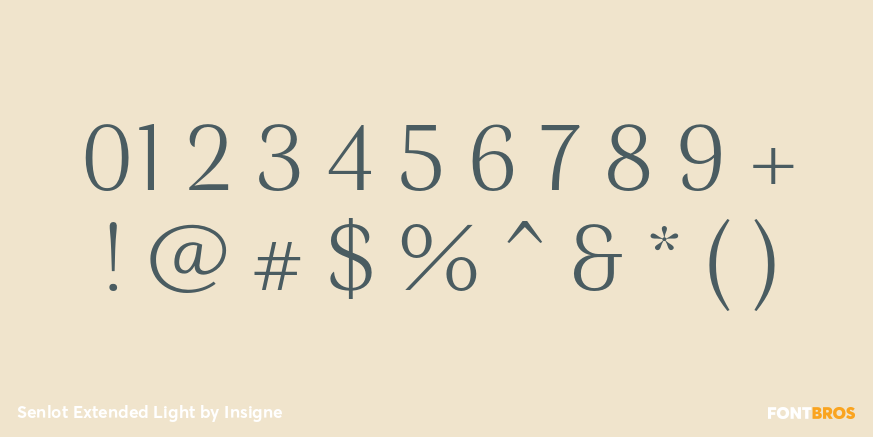 Senlot Extended Light Font Poster #4