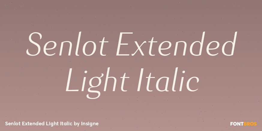 Senlot Extended Light Italic Font Poster #1