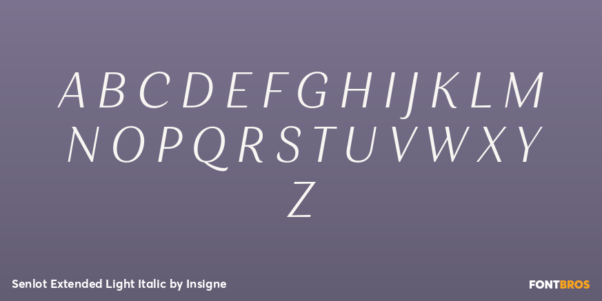 Senlot Extended Light Italic Font Poster #2