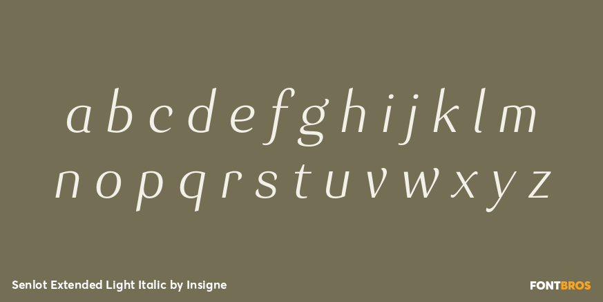 Senlot Extended Light Italic Font Poster #3
