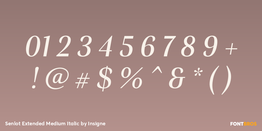 Senlot Extended Medium Italic Font Poster #1
