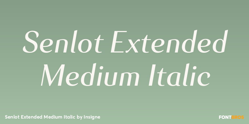 Senlot Extended Medium Italic Font Poster #1