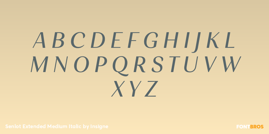 Senlot Extended Medium Italic Font Poster #2