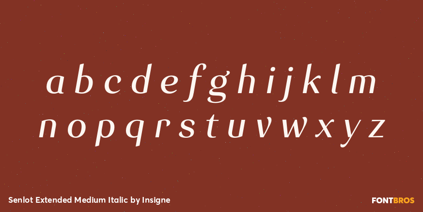 Senlot Extended Medium Italic Font Poster #3