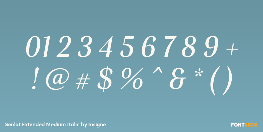 Senlot Extended Medium Italic Font Poster #4