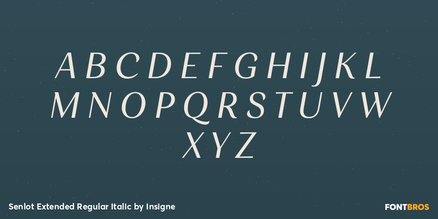 Senlot Extended Regular Italic Font Poster #2