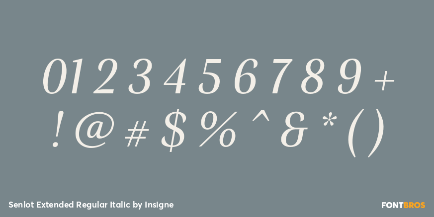 Senlot Extended Regular Italic Font Poster #4