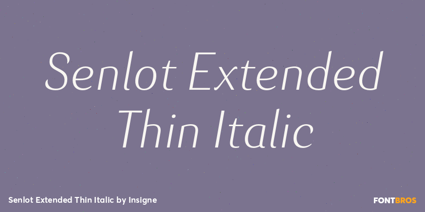Senlot Extended Thin Italic Font Poster #1