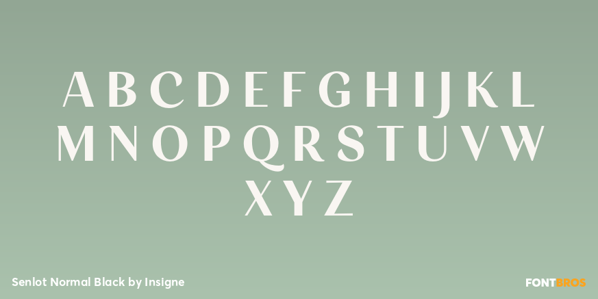 Senlot Normal Black Font Poster #1