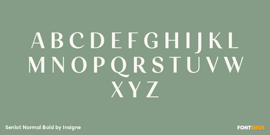 Senlot Normal Bold Font Poster #2