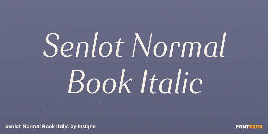 Senlot Normal Book Italic Font Poster #1