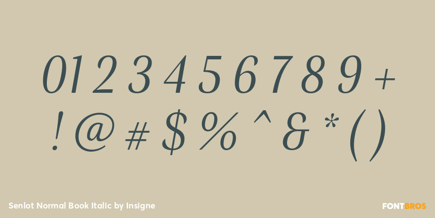 Senlot Normal Book Italic Font Poster #4