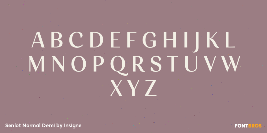 Senlot Normal Demi Font Poster #2