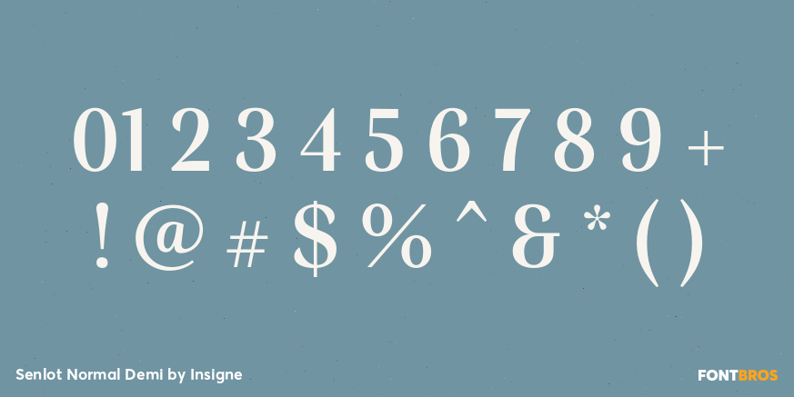 Senlot Normal Demi Font Poster #4