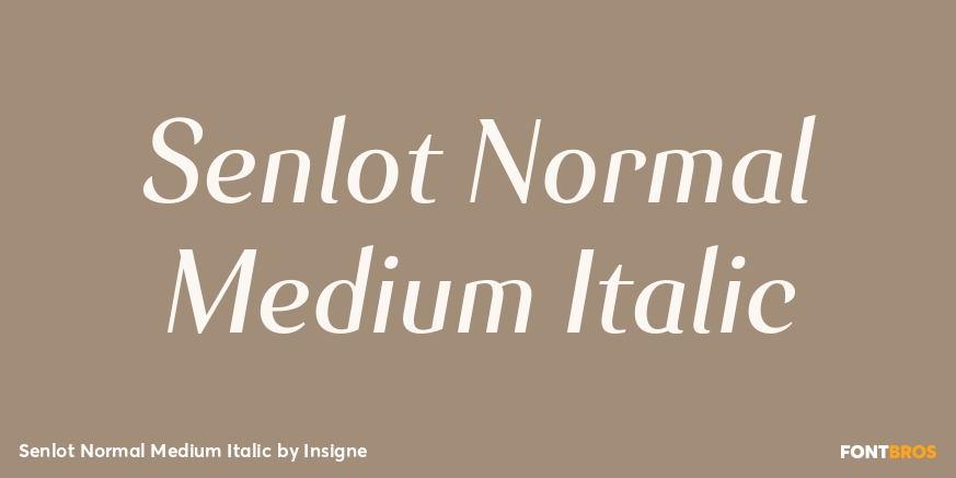 Senlot Normal Medium Italic Font Poster #1