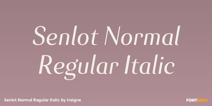 Senlot Normal Regular Italic Font Poster #1