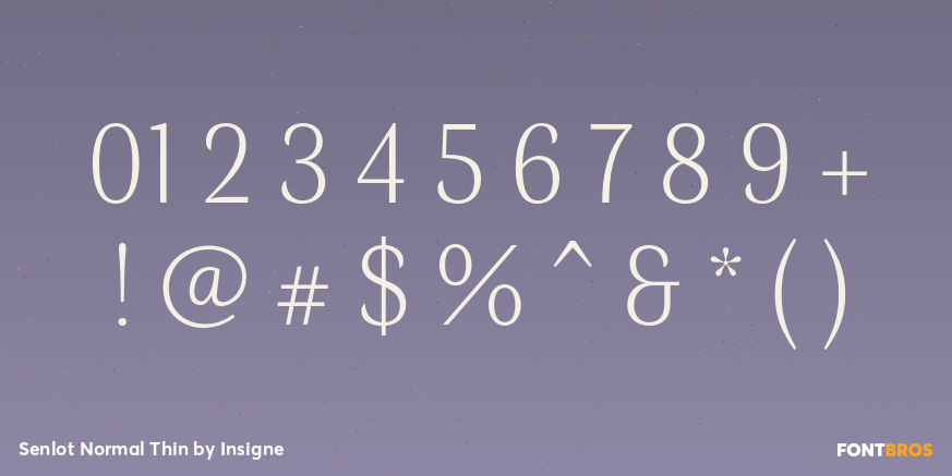 Senlot Normal Thin Font Poster #4