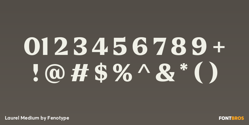 Laurel Medium Font Poster #4