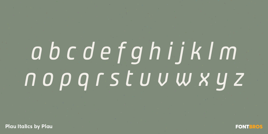 Plau Italics Font Poster #3