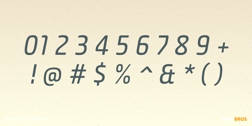 Plau Italics Font Poster #4