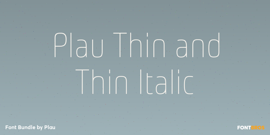 Plau Thin and Thin Italic Poster