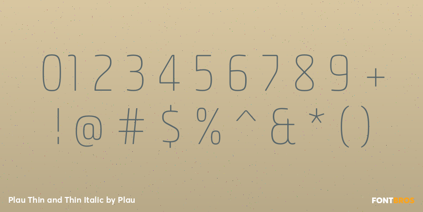 Plau Thin and Thin Italic Font Poster #4