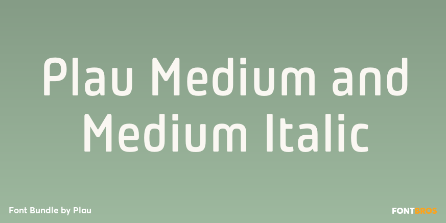 Plau Medium and Medium Italic Font Poster #1