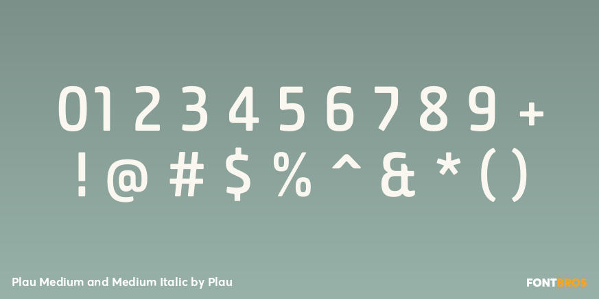 Plau Medium and Medium Italic Font Poster #1