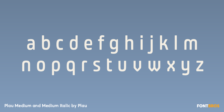Plau Medium and Medium Italic Font Poster #3