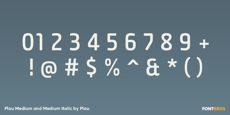 Plau Medium and Medium Italic Font Poster #4