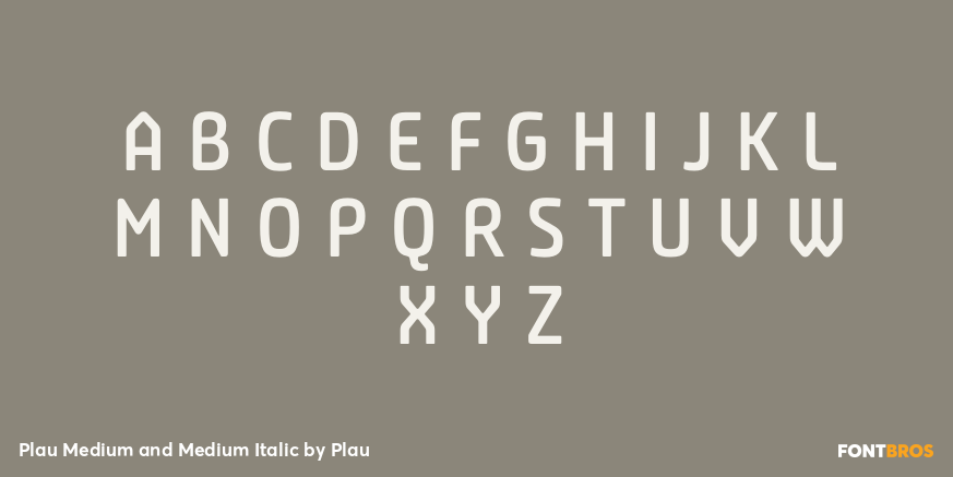 Plau Medium and Medium Italic Font Poster #1