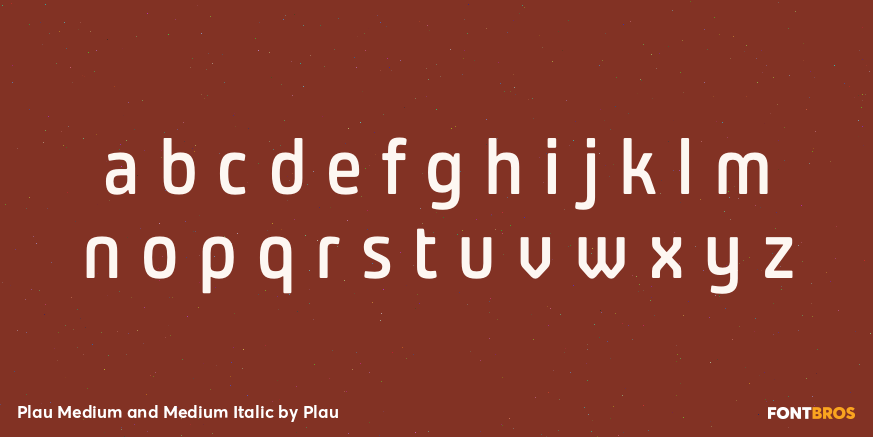 Plau Medium and Medium Italic Font Poster #1