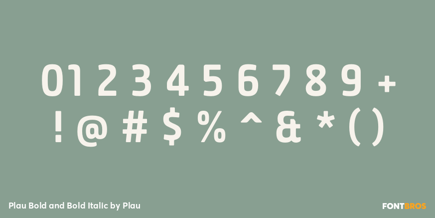 Plau Bold and Bold Italic Font Poster #1