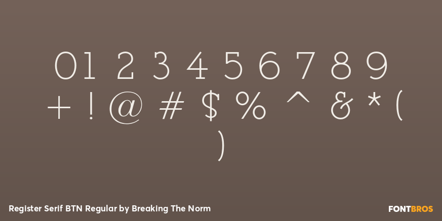 Register Serif BTN Regular Font Poster #4