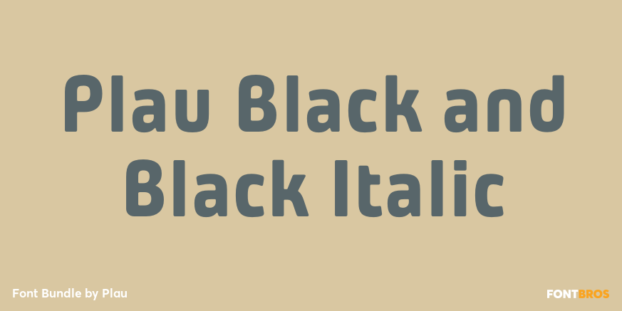 Plau Black and Black Italic Poster