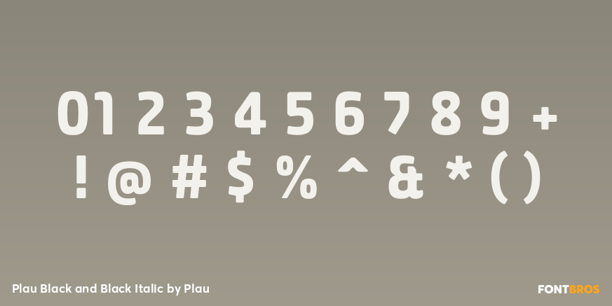 Plau Black and Black Italic Font Poster #1