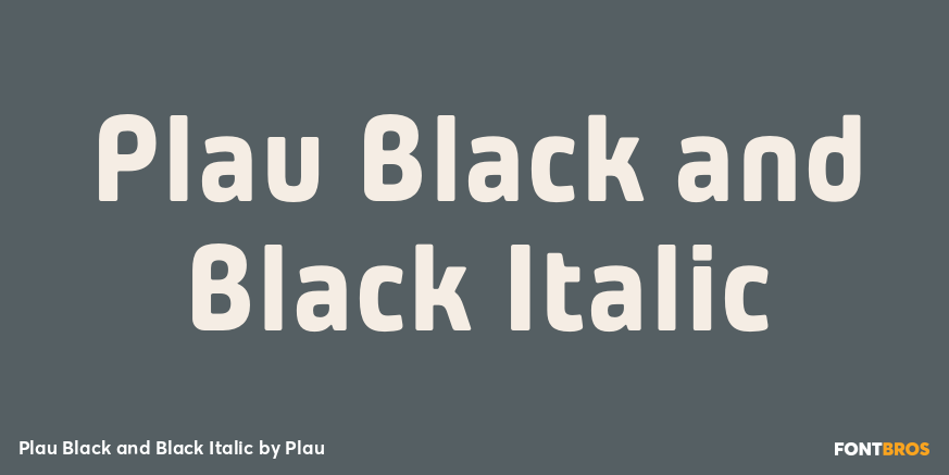 Plau Black and Black Italic Font Poster #1